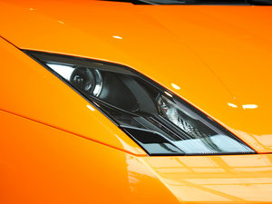 2011LP560-4 Bicolore (x)(ji)^