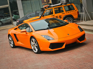 2011LP560-4 Bicolore 