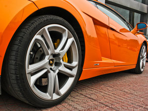 2011LP560-4 Bicolore ^