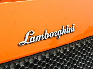 2011LP560-4 Bicolore ^