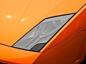 2011LP560-4 Bicolore ^