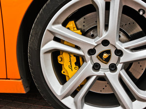 2011LP560-4 Bicolore ^