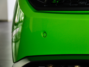 2017RWD Spyder (ji)^