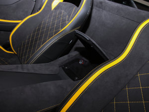 2017A(y)ventador S g