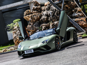 2018Aventador S Roadster w^
