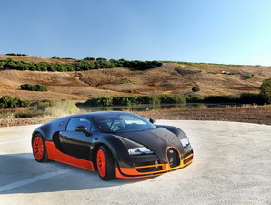 2011������ ���w���^