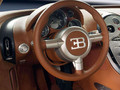 2004������ ������