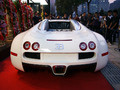 2004������ ����