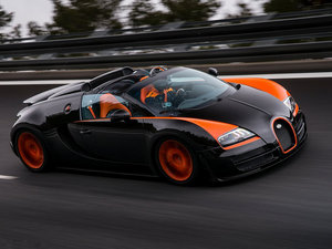 2013��Grand Sport Vitesse WRC ���w���^