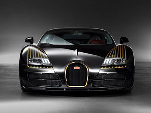 2014��Black Bess ���w���^