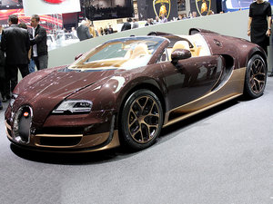 2014��Rembrandt Bugatti ���w���^