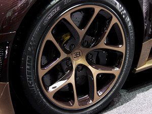 2014��Rembrandt Bugatti �������^