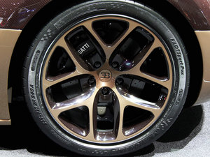 2014��Rembrandt Bugatti �������^