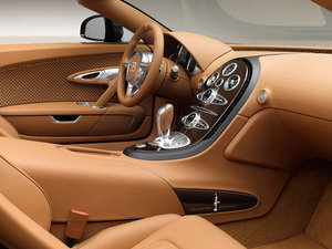 2014��Rembrandt Bugatti ���g����