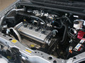 2009����������