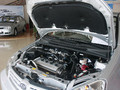 2009����������