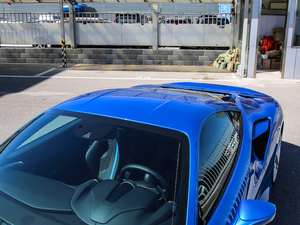 2019款3.9T V8 车顶