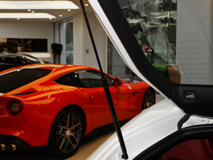 20136.3L (bio)(zhn) g