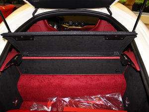 20136.3L (bio)(zhn) g