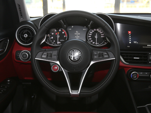 2019款280HP 豪华版 Black Package 方向盘