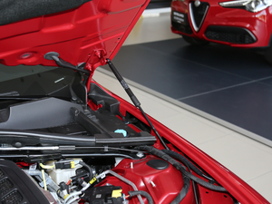 2019款280HP 豪华版 Black Package 其它