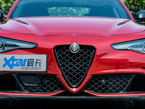 2019款510HP 四叶草版 中网
