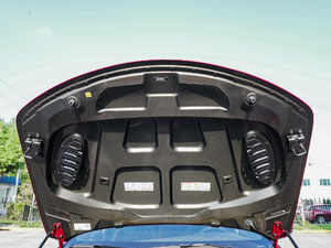 2019款510HP 四叶草版 其它