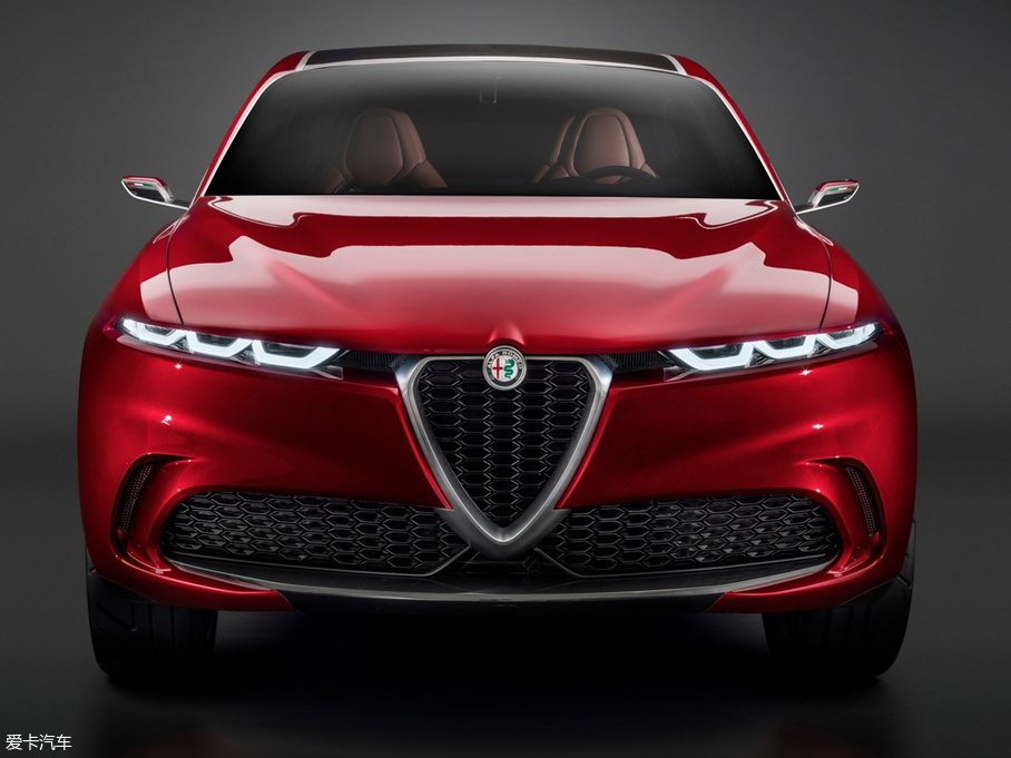 2019��Tonale�м{�� ������