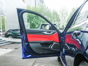 2021款2.0T 280HP 豪华版 驾驶位车门