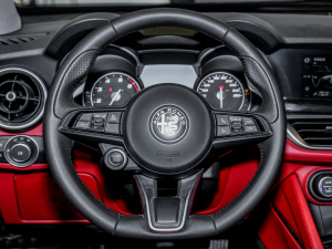 2021款2.0T 280HP 豪华版 方向盘