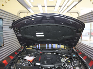 2021款2.0T 280HP 豪华运动版 其它