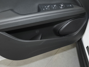 20232.0T 280HP Sprintv  ǰTg