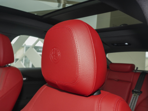 20232.0T 280HP Sprintv  g