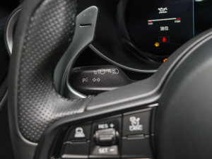 20232.0T 280HP v п؅^