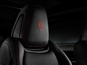 20193.8T 590Hp Trofeo g