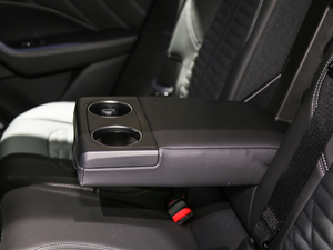 20193.8T 590Hp Trofeo g