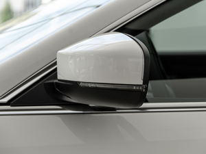 20203.0T (bio)(zhn) (x)(ji)^