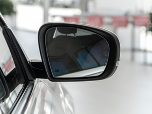 20203.0T (bio)(zhn) (x)(ji)^