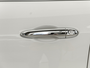 20203.0T (bio)(zhn) {T