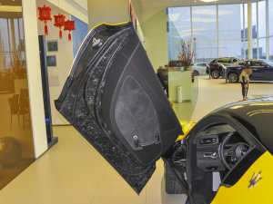 2020款3.0T 标准版 驾驶位车门