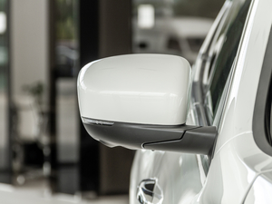 20203.0T (bio)(zhn) (x)(ji)^