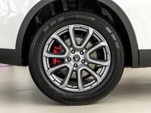 20203.0T (bio)(zhn) (x)(ji)^