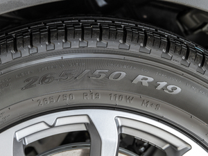 20203.0T (bio)(zhn) (x)(ji)^