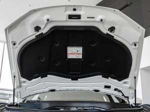 2020款3.0T 标准版 其它