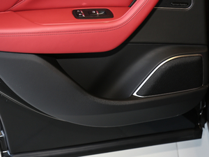 20203.0T (bio)(zhn) g