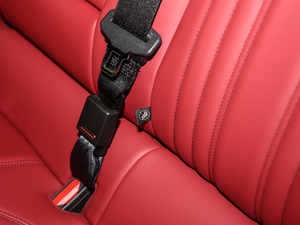 20203.0T (bio)(zhn) g