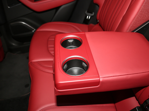 20203.0T (bio)(zhn) g