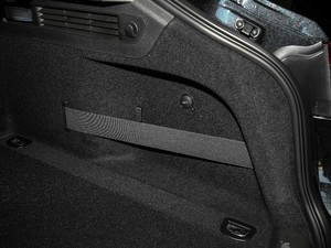 20203.0T (bio)(zhn) g