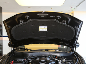 2020款3.0T 标准版 其它
