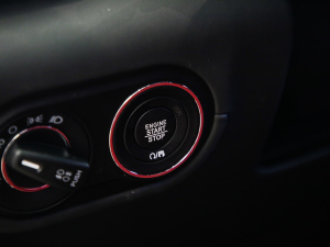 20203.0T (bio)(zhn) п؅^(q)